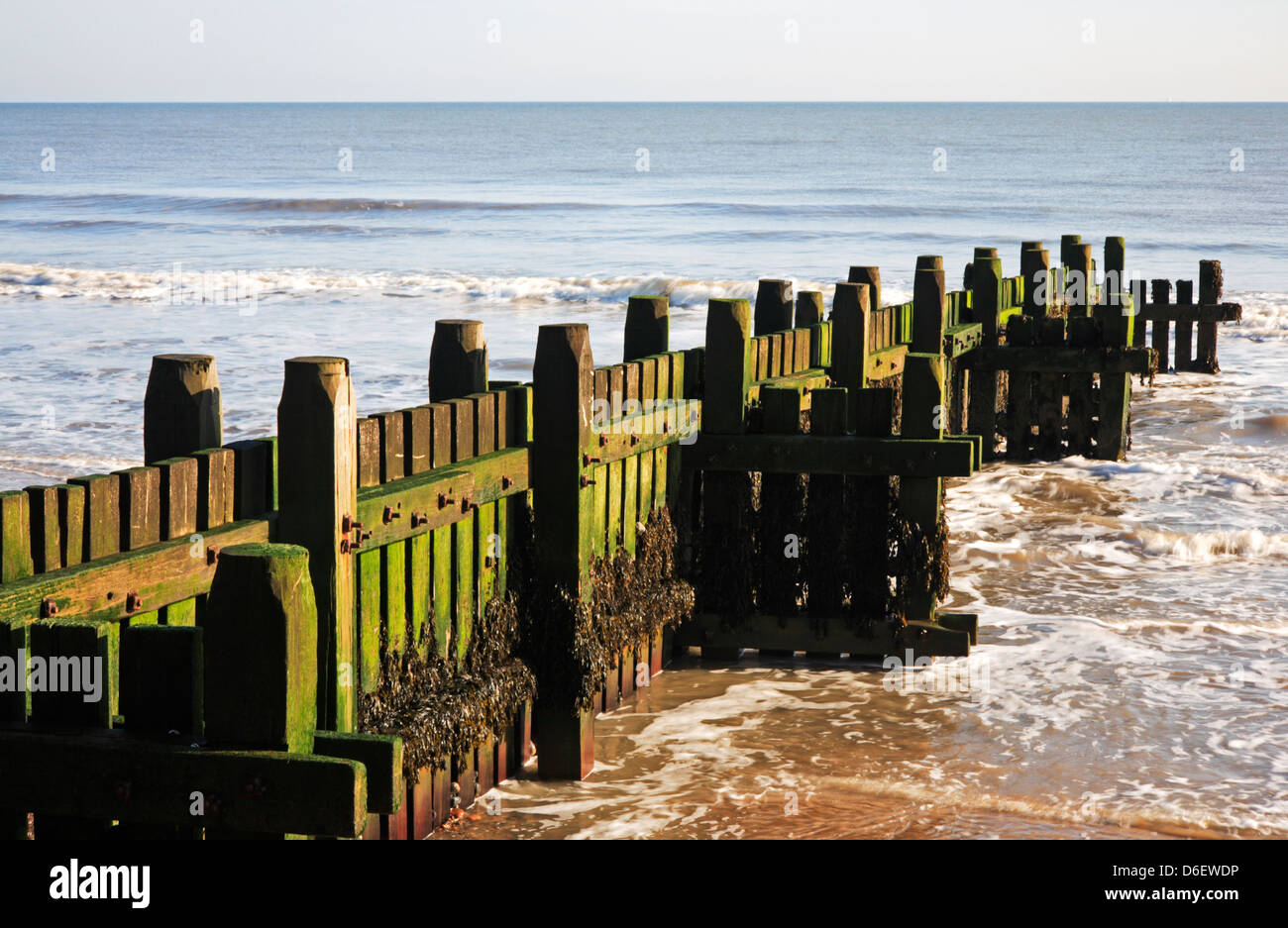 An example of a wooden breakwater at BactononSea, Norfolk, England