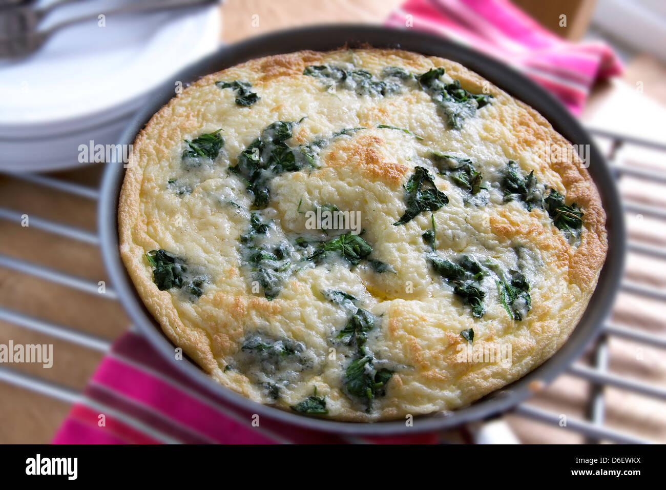 Spinach and Cheese Spanish Omelette Stock Photo Alamy