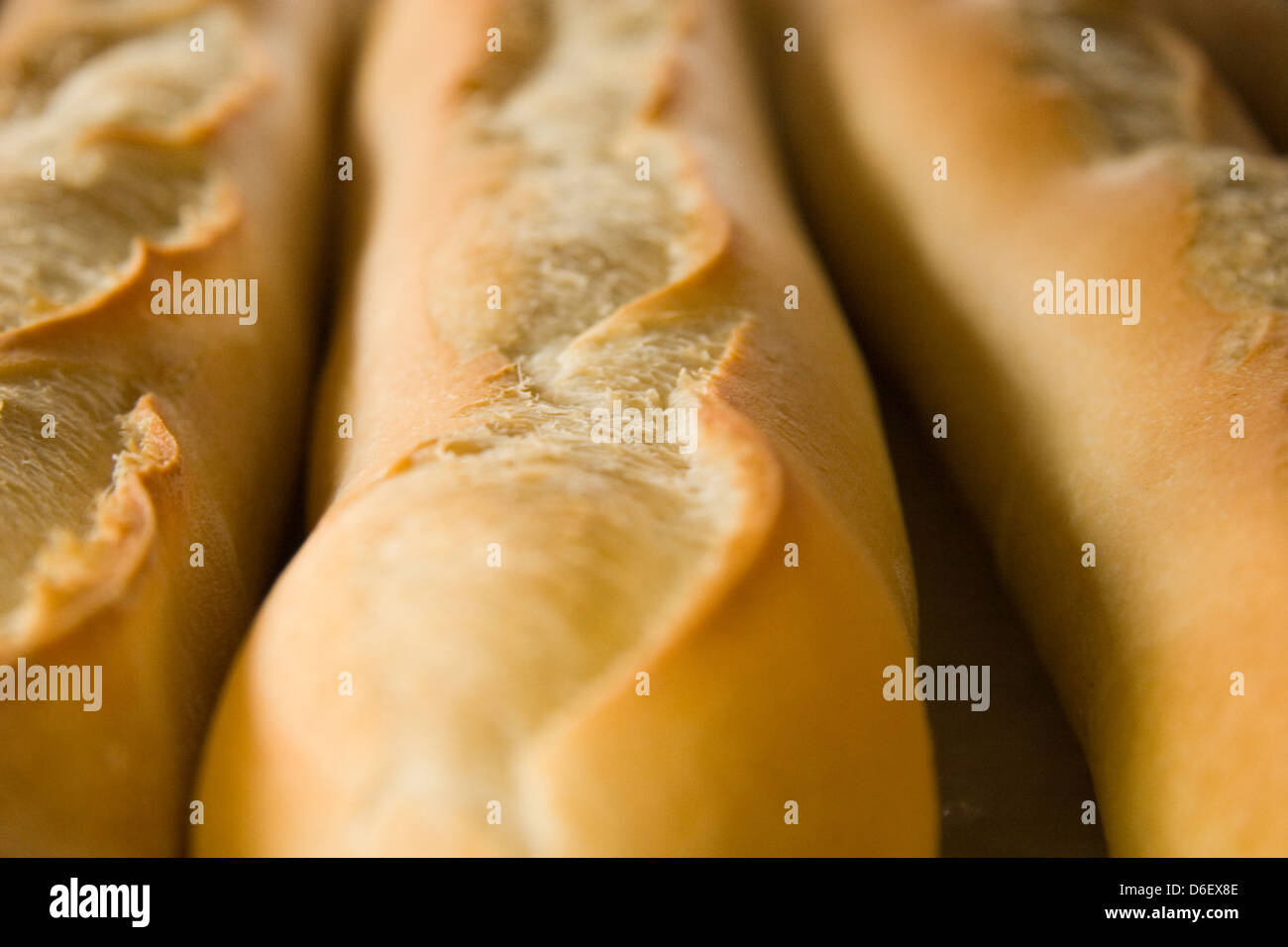 Close-up view of freshly baked baguettes from a French bakery Stock Photo