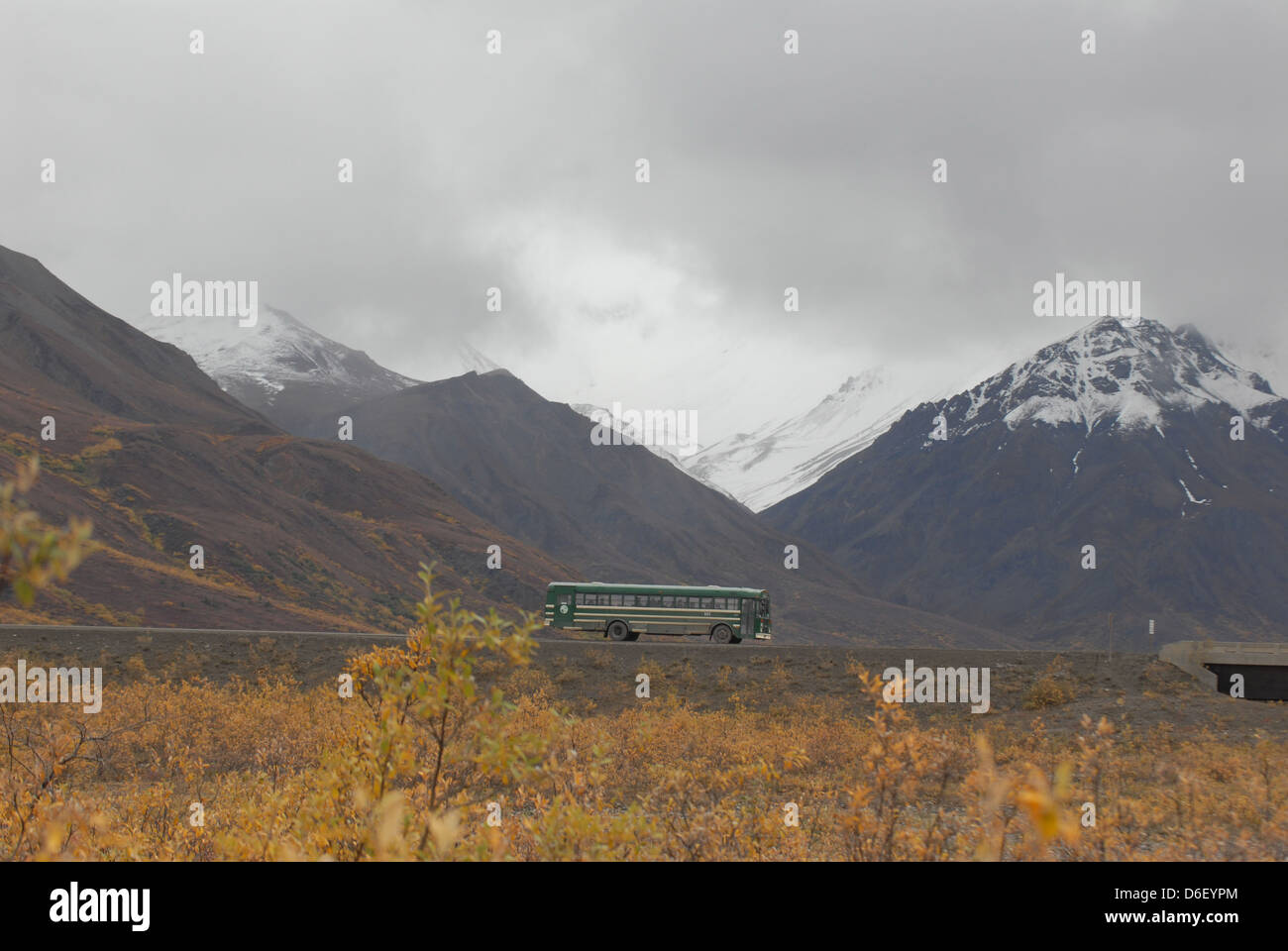 A bus carrying passengers drives along a road in Denali National Park, Alaska during the fall. Stock Photo