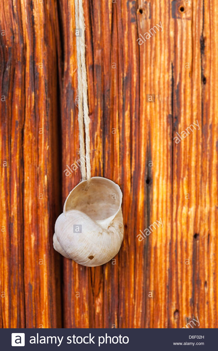 Log Cabin Chalet Detail Snail Wooden Wall Shell Stock Photo