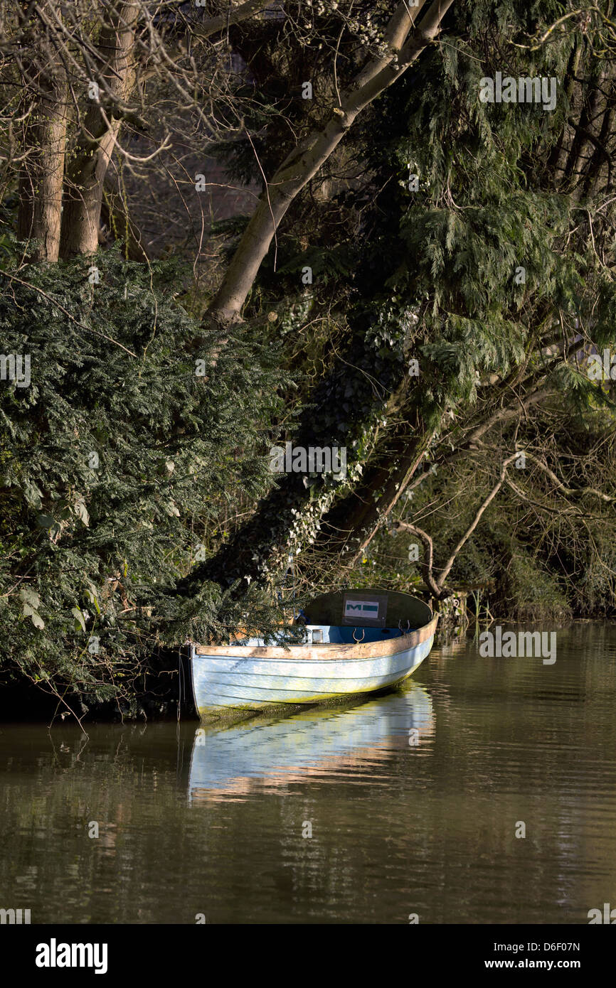 Wooden rowing boat South Oxford Canal Oxford Oxfordshire Oxon England UK GB boat row row boat canal canals scene low-key trees Stock Photo