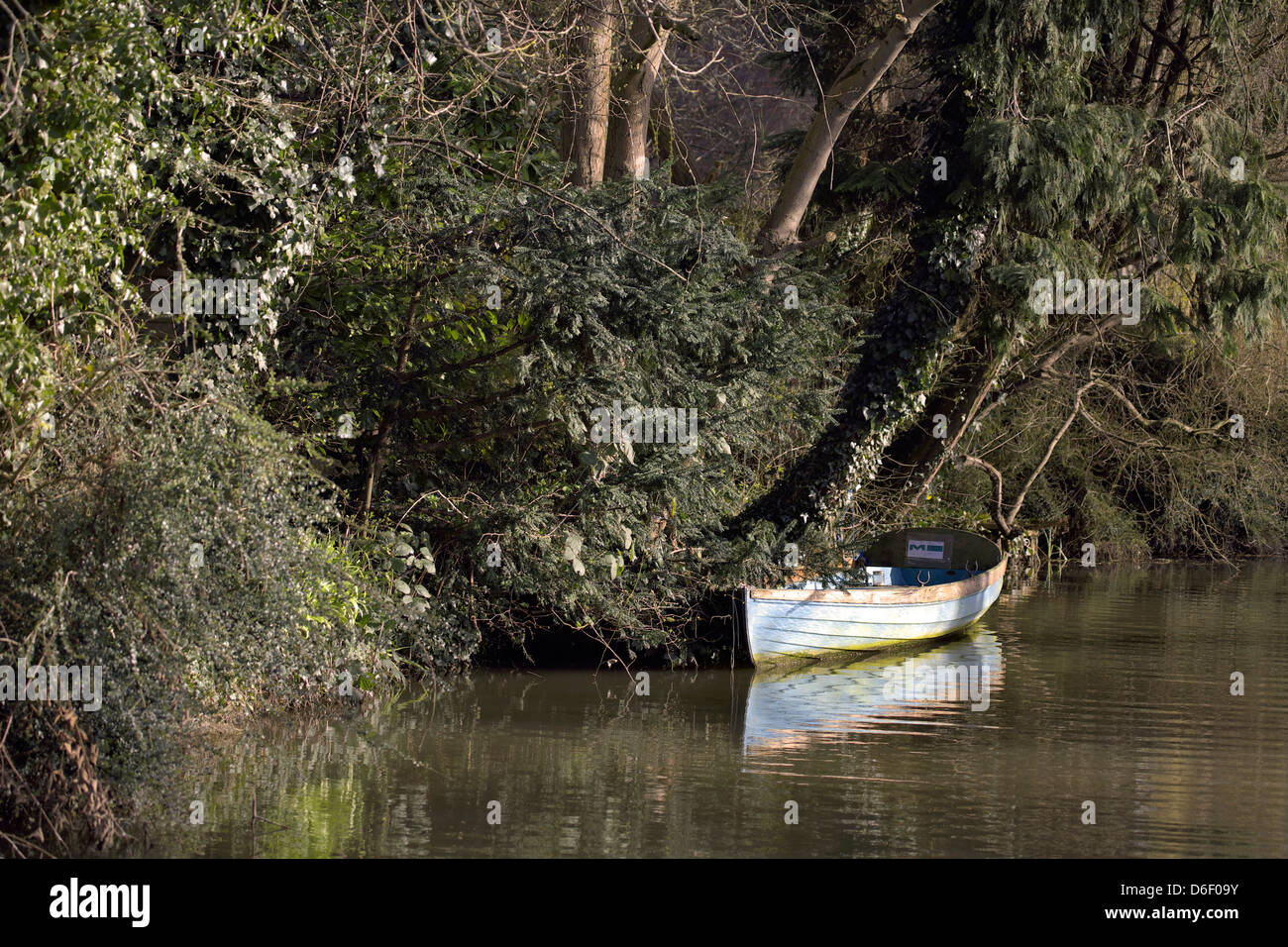 Wooden rowing boat South Oxford Canal Oxford Oxfordshire Oxon England UK GB boat row row boat canal canals scene low-key trees Stock Photo