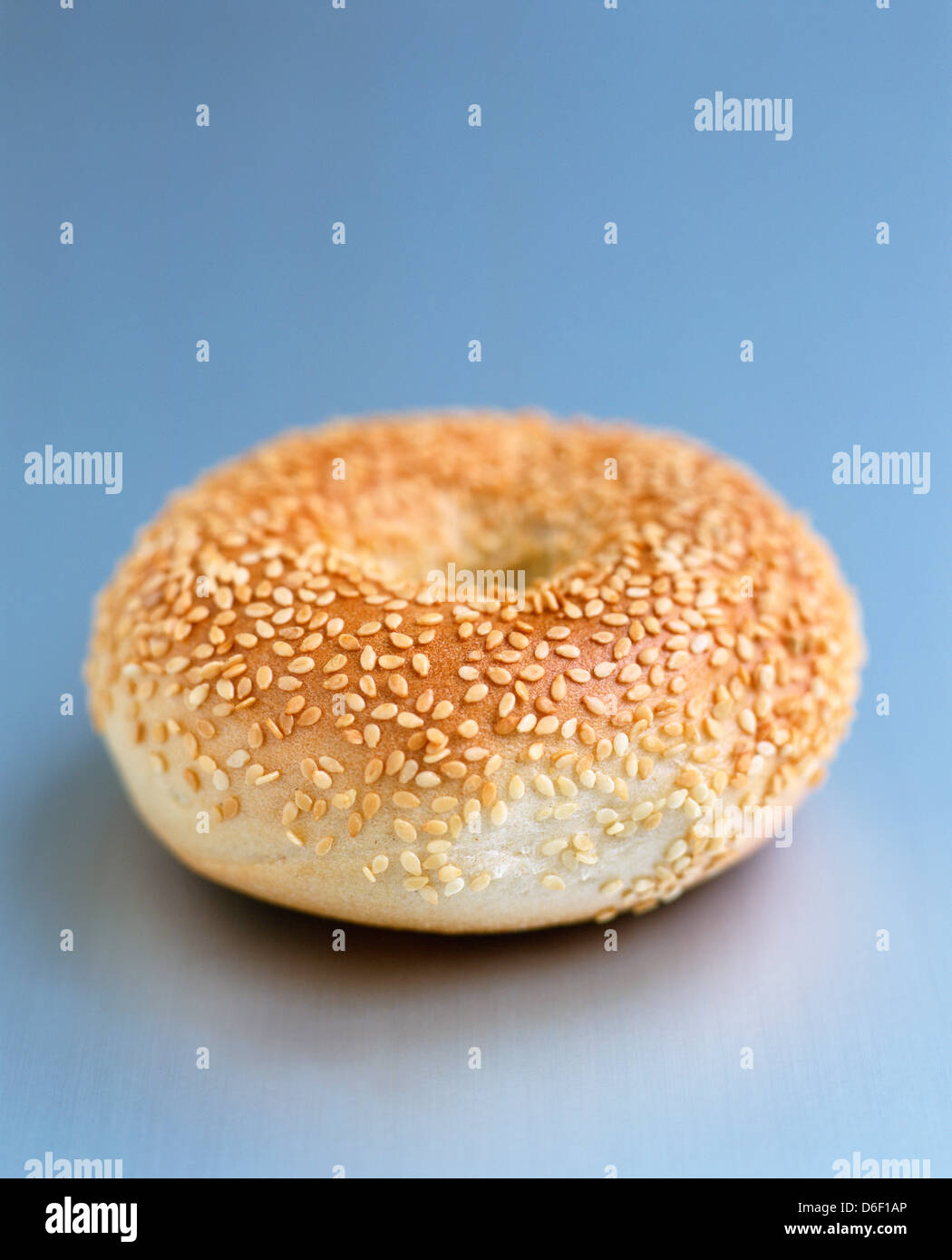 Sesame Seed Bagel Stock Photo Alamy