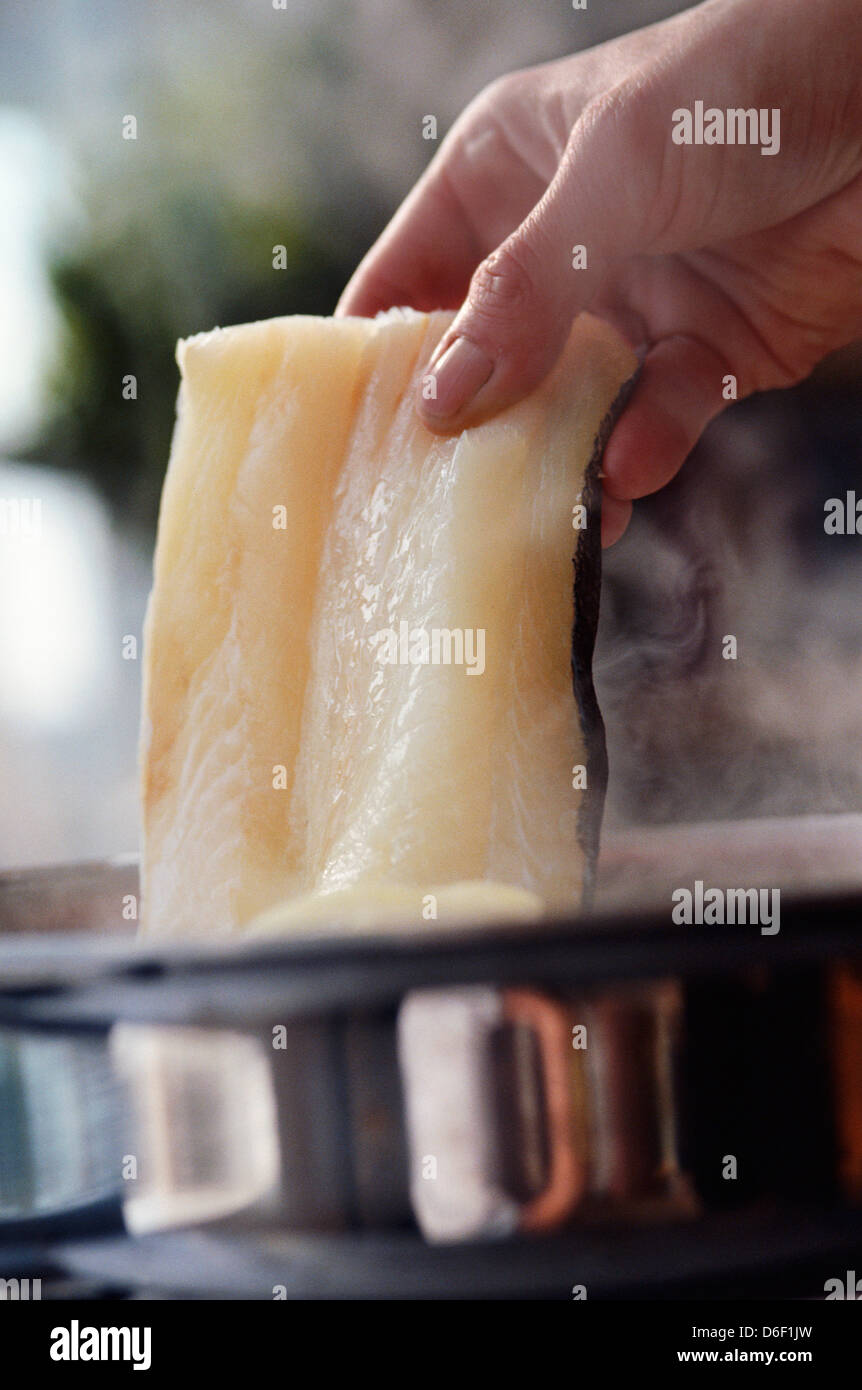 Poaching Smoked Haddock Stock Photo Alamy