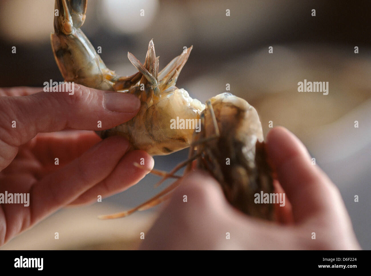 Removing a Prawn Head Stock Photo Alamy