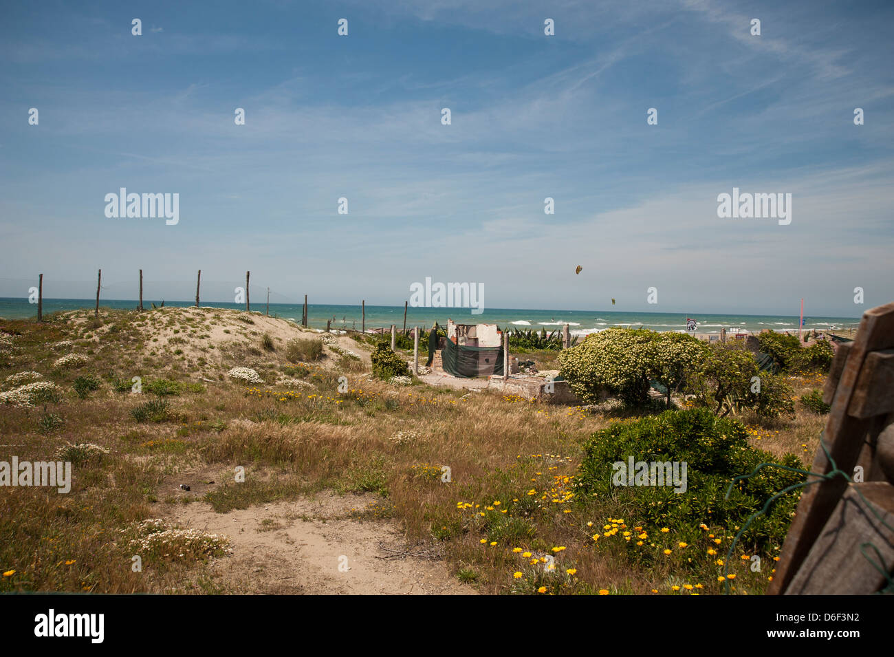 view of the sea and the beach with yellow daisies Stock Photo