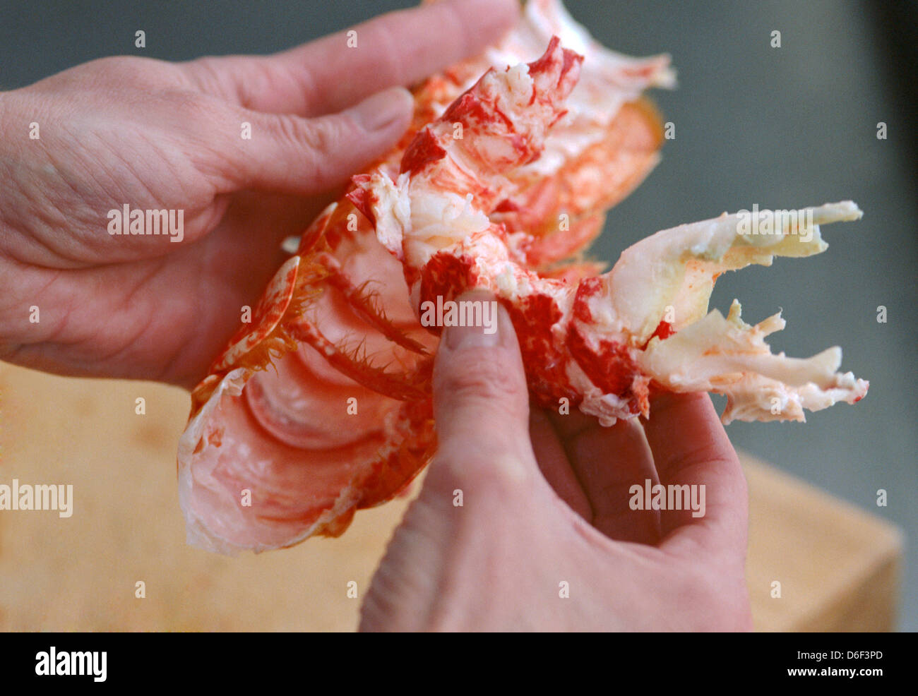 Removing lobster tail meat hires stock photography and images Alamy