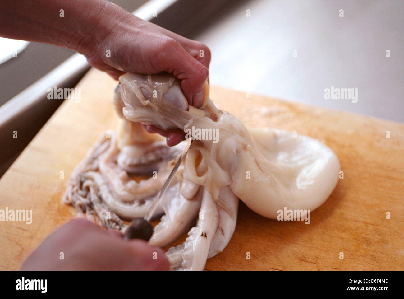 Removing Stomach Sac from Octopus Stock Photo - Alamy