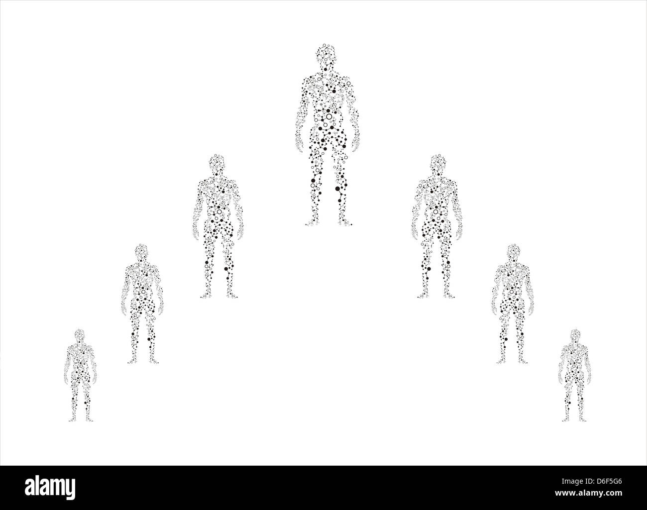 Human cell anatomy Black and White Stock Photos & Images - Alamy