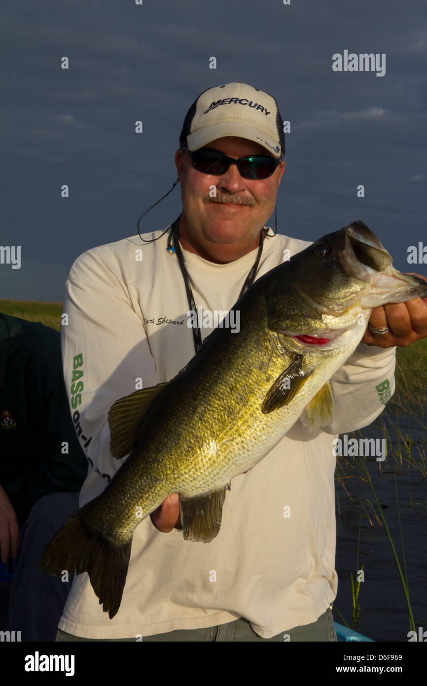 Large mouth bass florida hi-res stock photography and images - Alamy