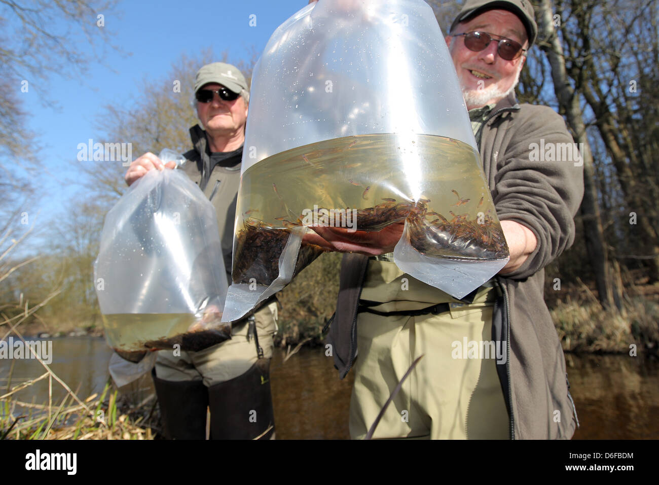 Gross Vollstedt, Germany, Joerg buses and Erwin Greim from fly fishing club Stock Photo