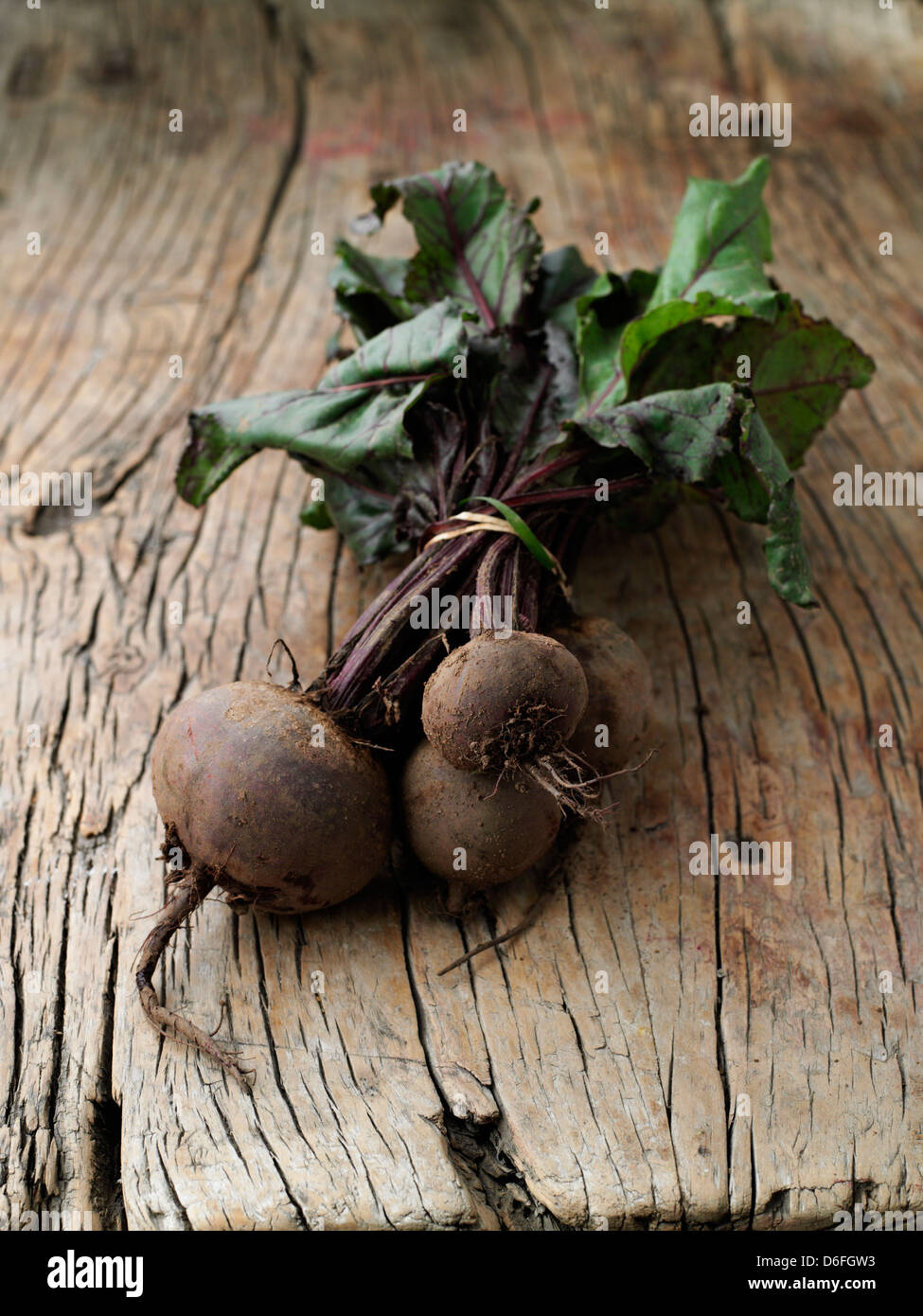 Raw beetroot bunch leaves hi-res stock photography and images - Alamy