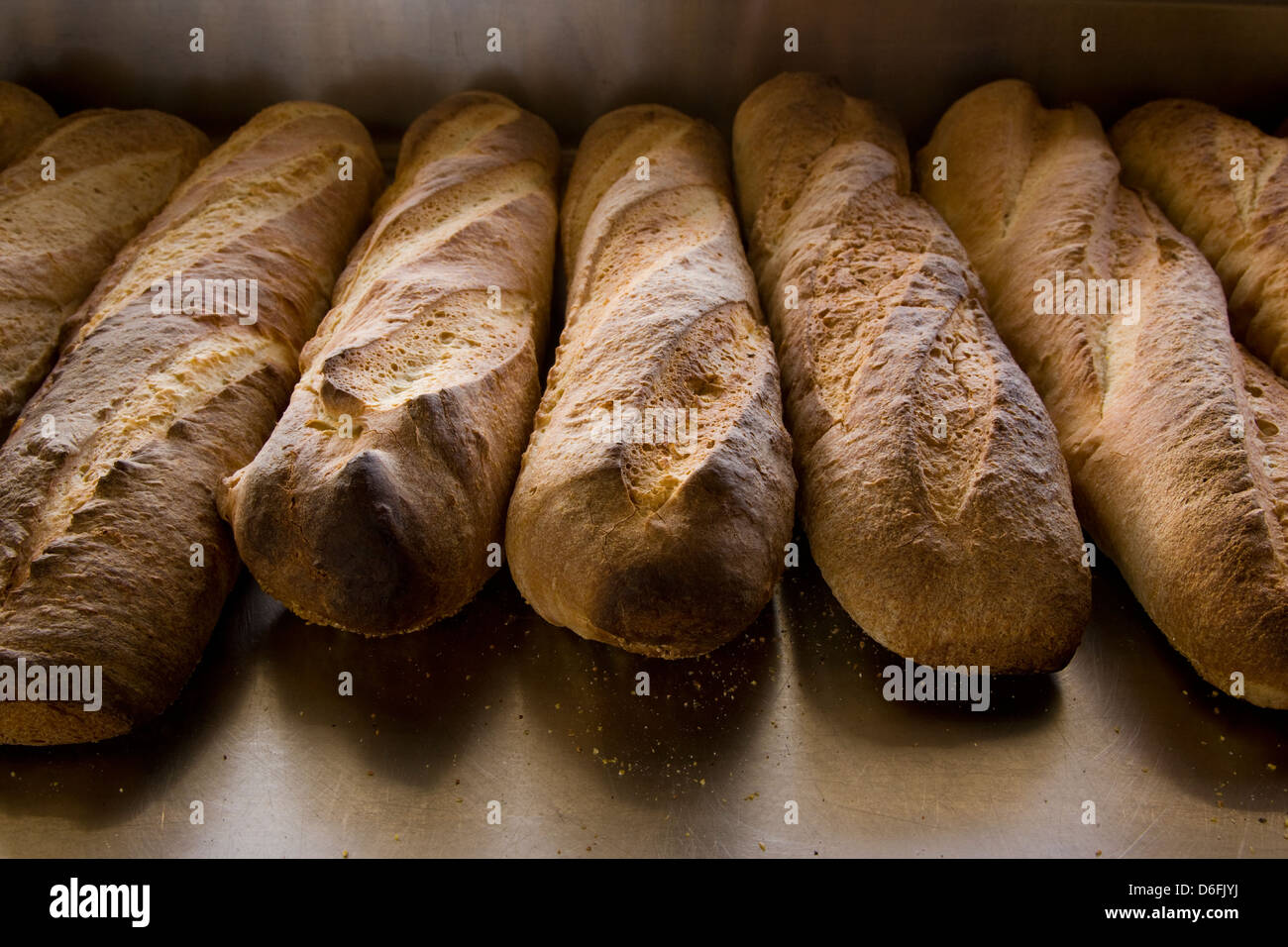 Freshly baked bread for sale in a commercial bakery Stock Photo