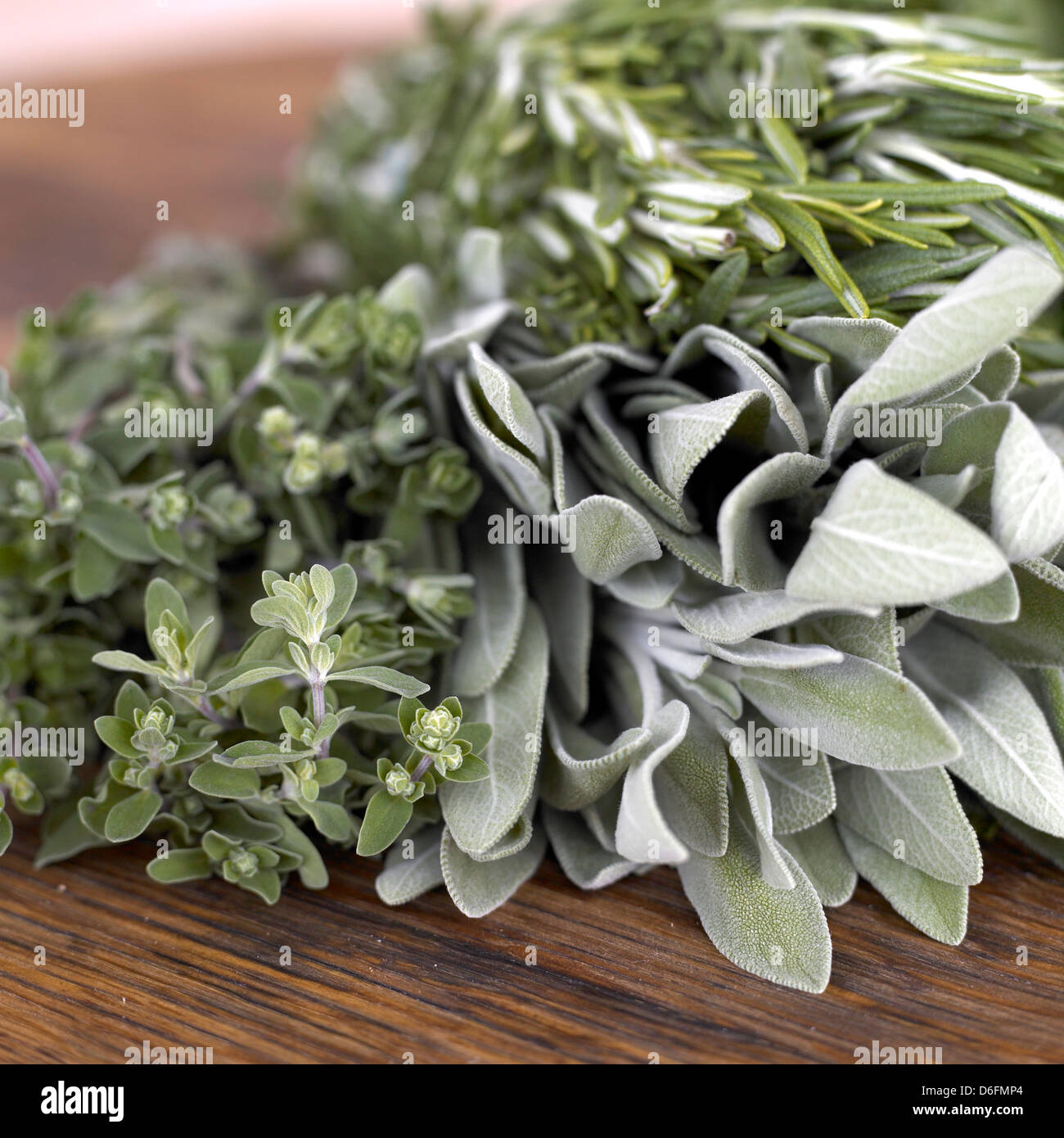 Sage,Thyme and Rosemary Stock Photo