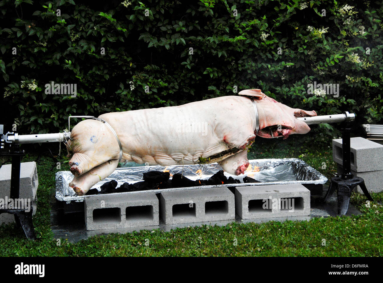 Pig on spit Stock Photo