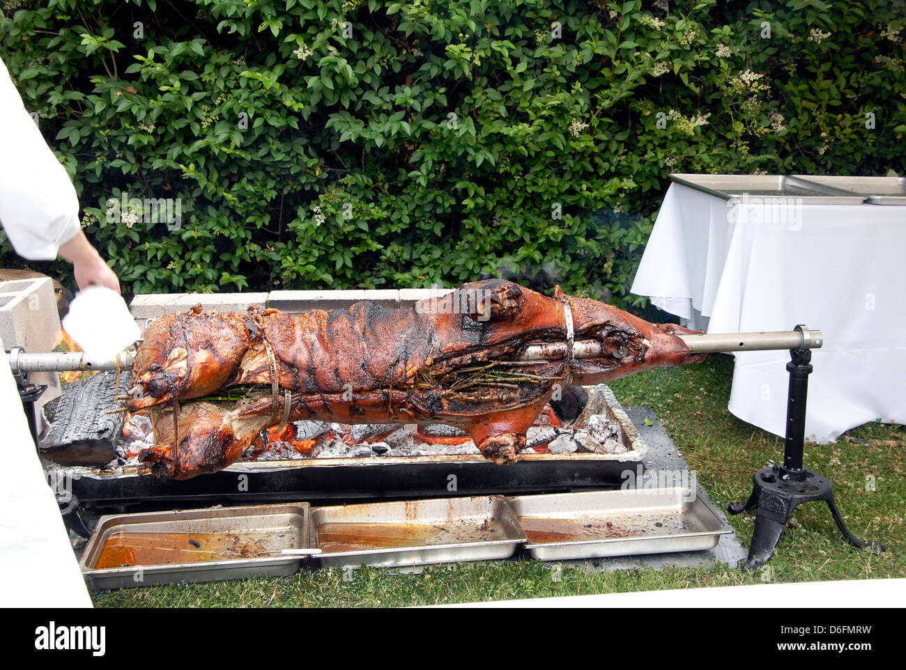 Pig on spit / Hog roast Stock Photo