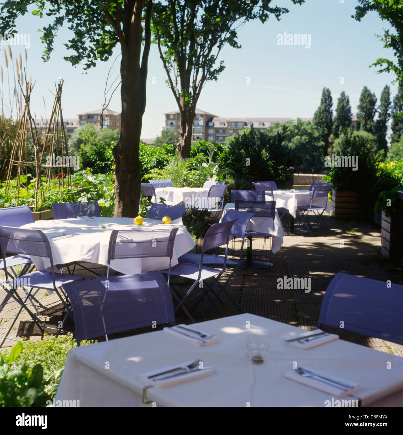 The River Cafe in London Stock Photo Alamy