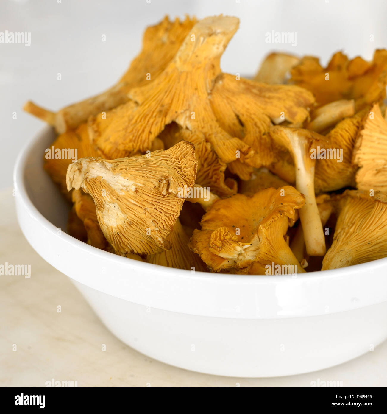Bowl of Chanterelle mushrooms Stock Photo