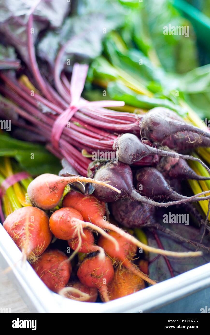 Download Yellow Beetroot High Resolution Stock Photography And Images Alamy PSD Mockup Templates