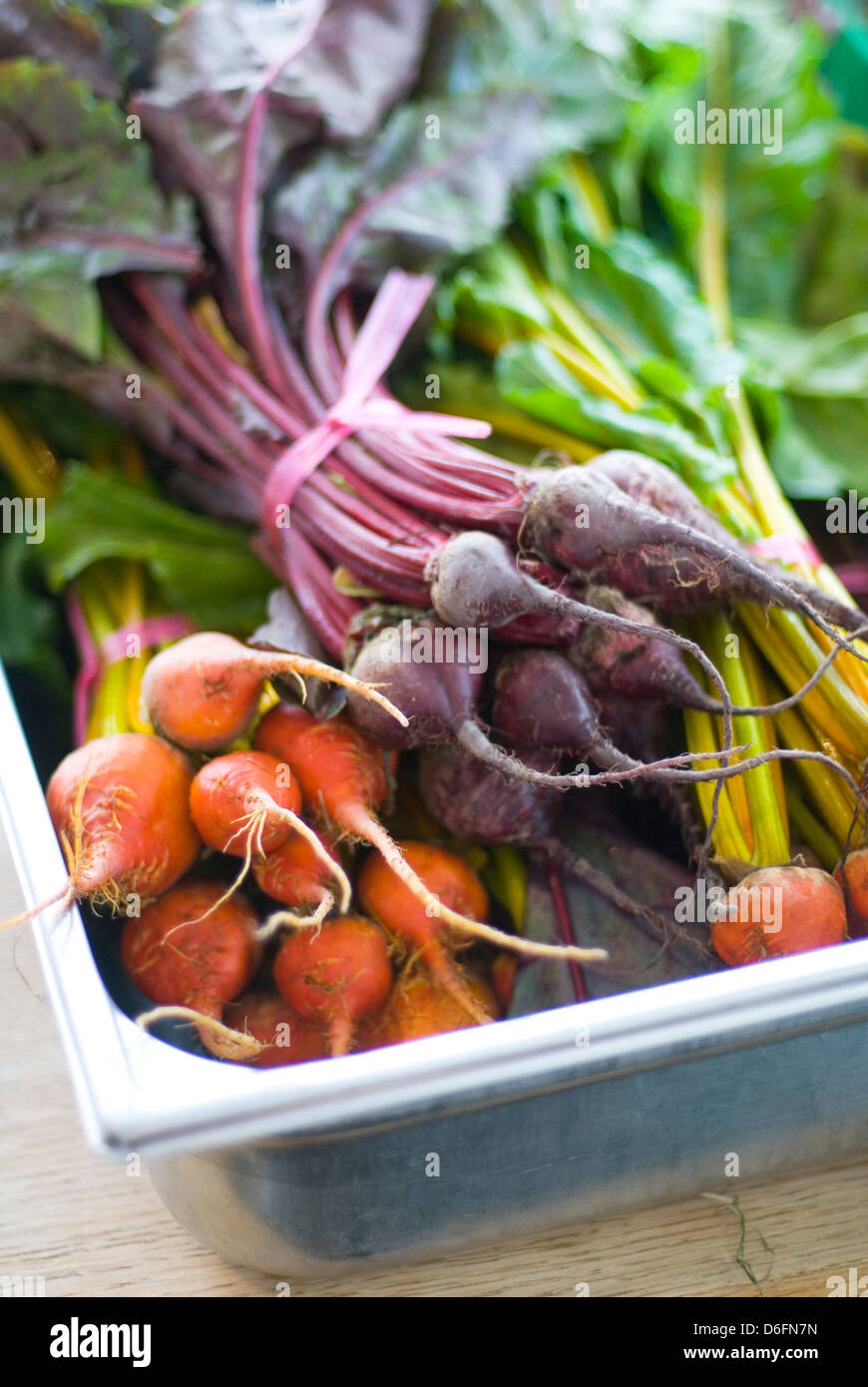 Download Yellow Beetroot High Resolution Stock Photography And Images Alamy PSD Mockup Templates