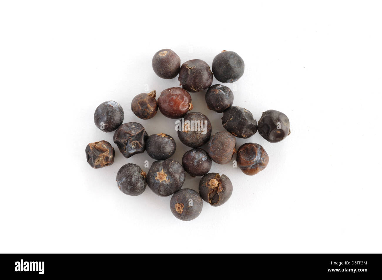 Dried juniper berries Stock Photo Alamy