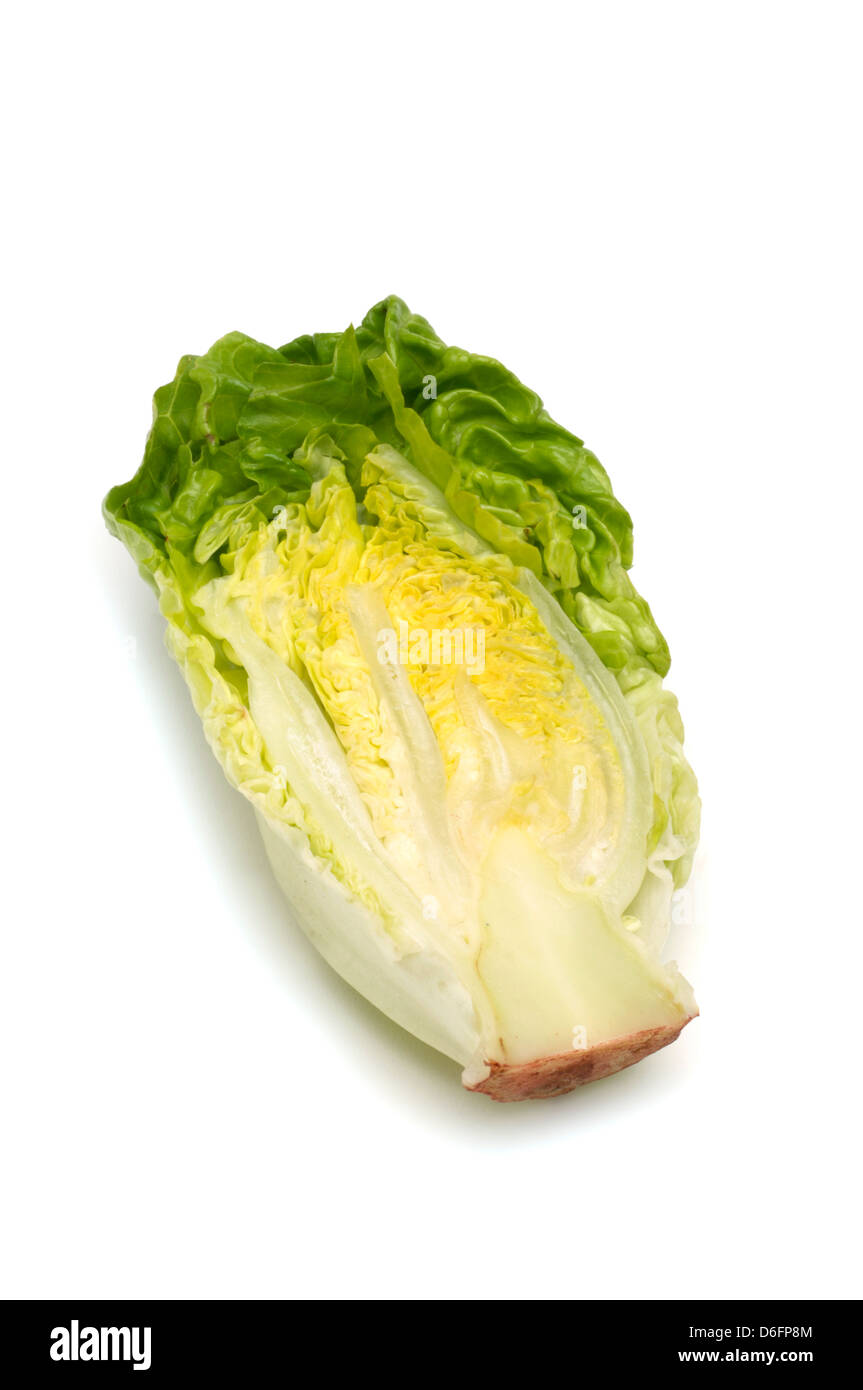 Little Gem lettuce Stock Photo Alamy