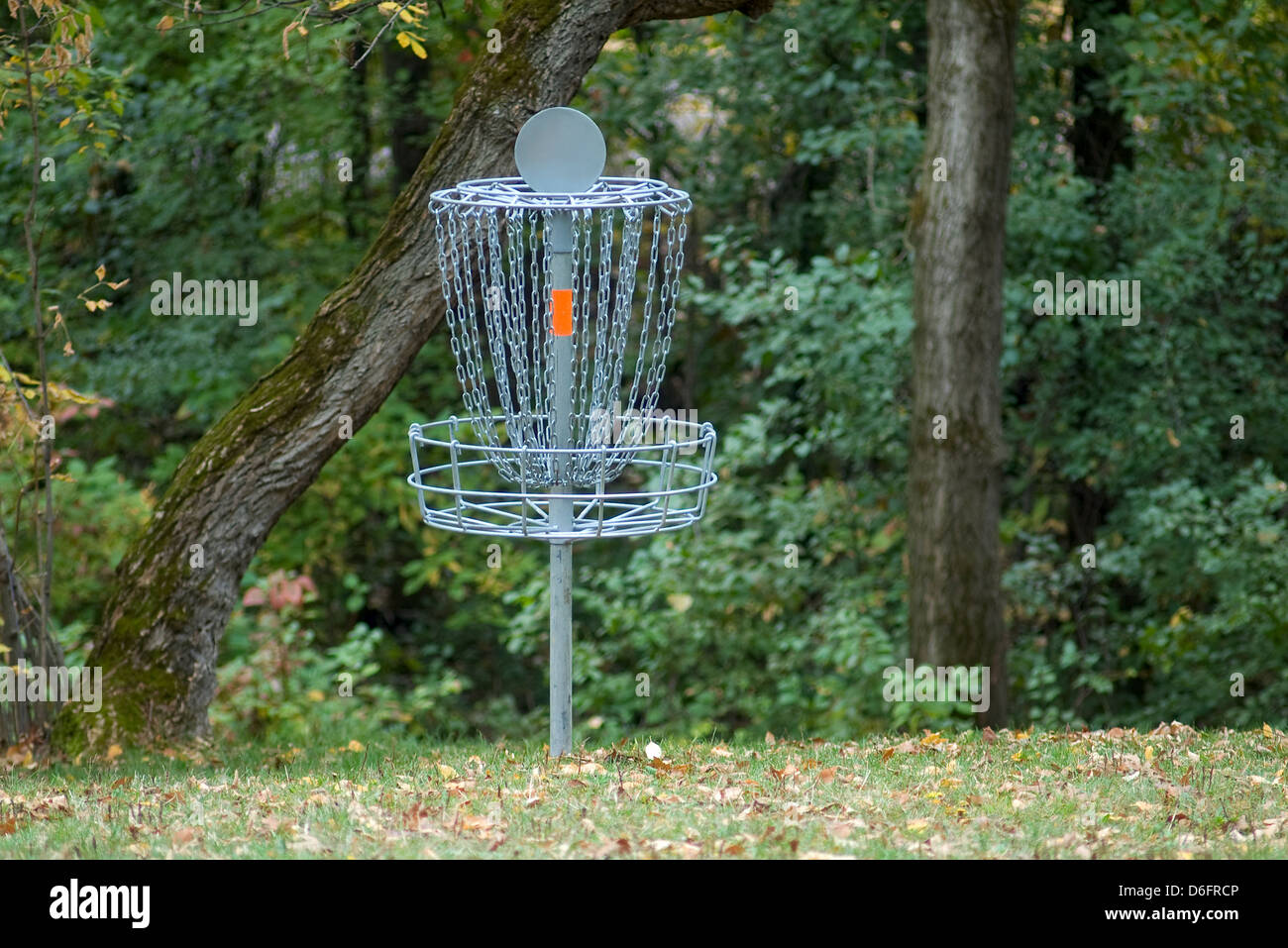 Disc golf scoring basket or pole hole and surrounding woods Stock Photo