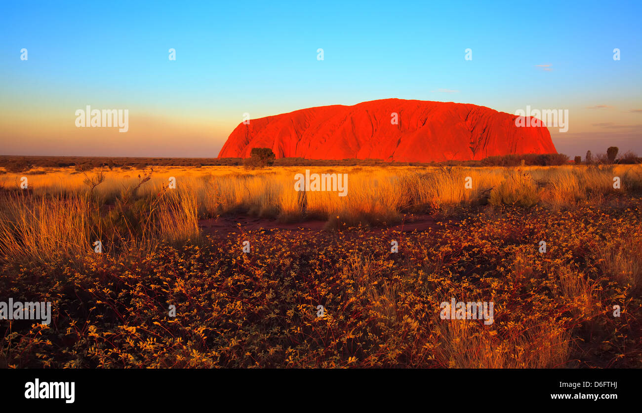 landscape landscapes outback Australian pano panorama panoramic Uluru Ayers Rock in the Northern Territory Central Australia Stock Photo
