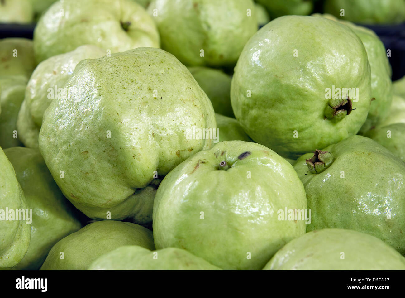Green Apple Guavas in Southeast Asian Market Closeup Stock Photo