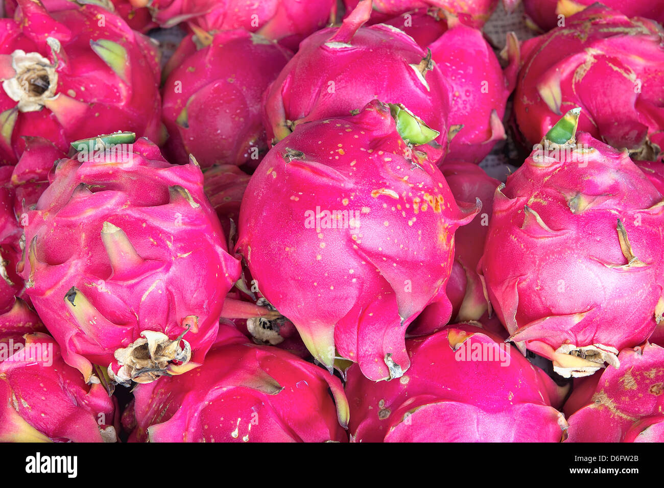 Dragon Fruit Pitahayas at Fruit and Vegetables Stand in Southeast Asian Market Closeup Background Stock Photo