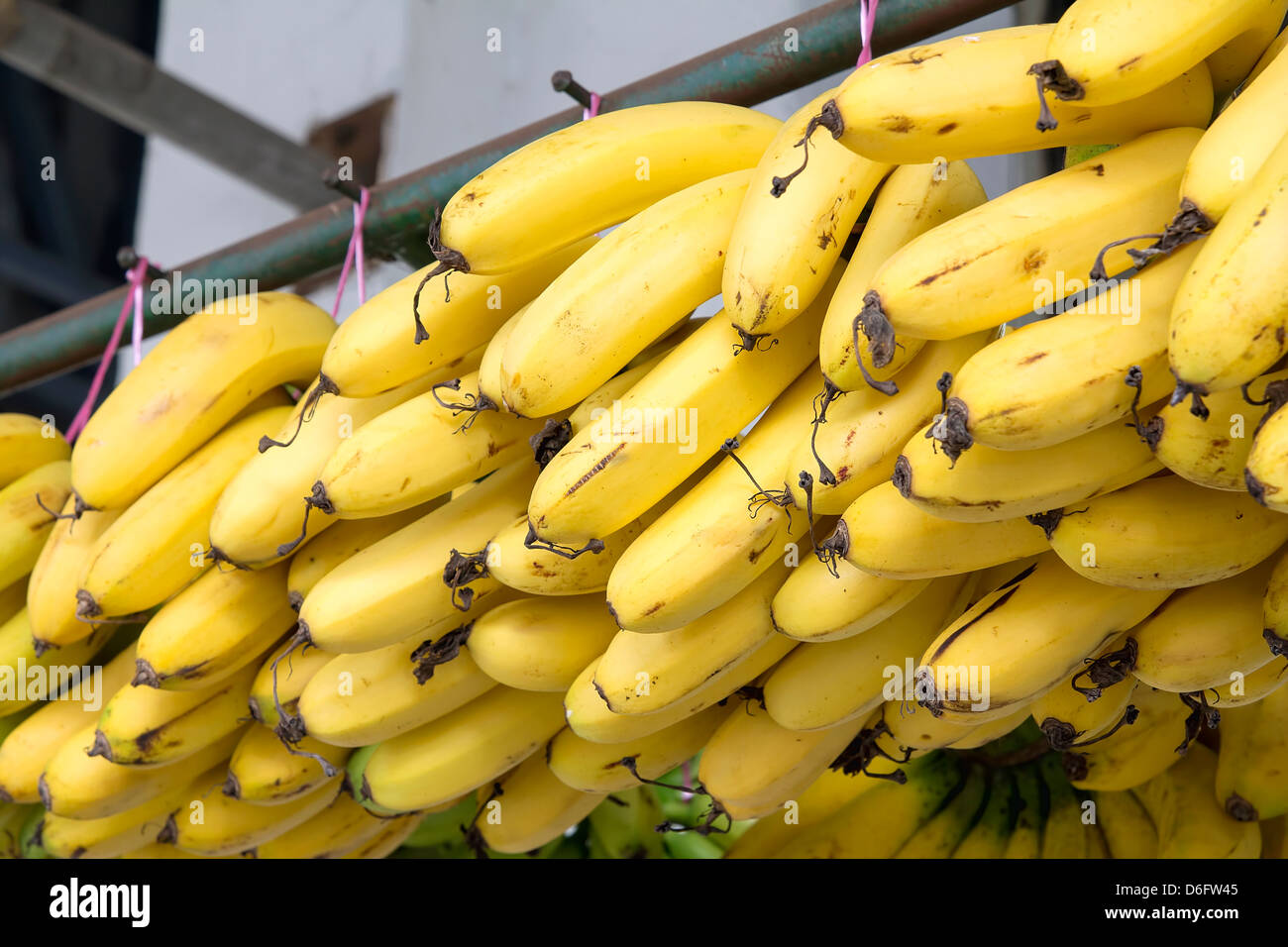 Bunches of Riped Yellow Bananas Hanging at Southeast Asian Fruits and Vegetables Market Stock Photo