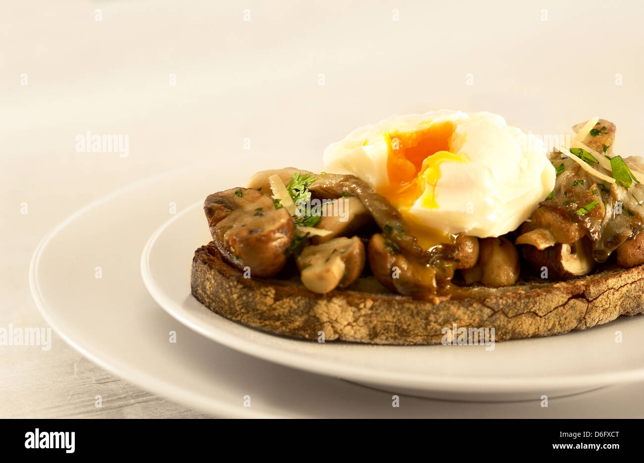 Mushrooms on toast with poached egg Stock Photo Alamy