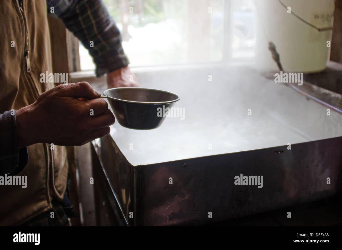 Organic farmer skimming impurities out of boiling maple sap by hand