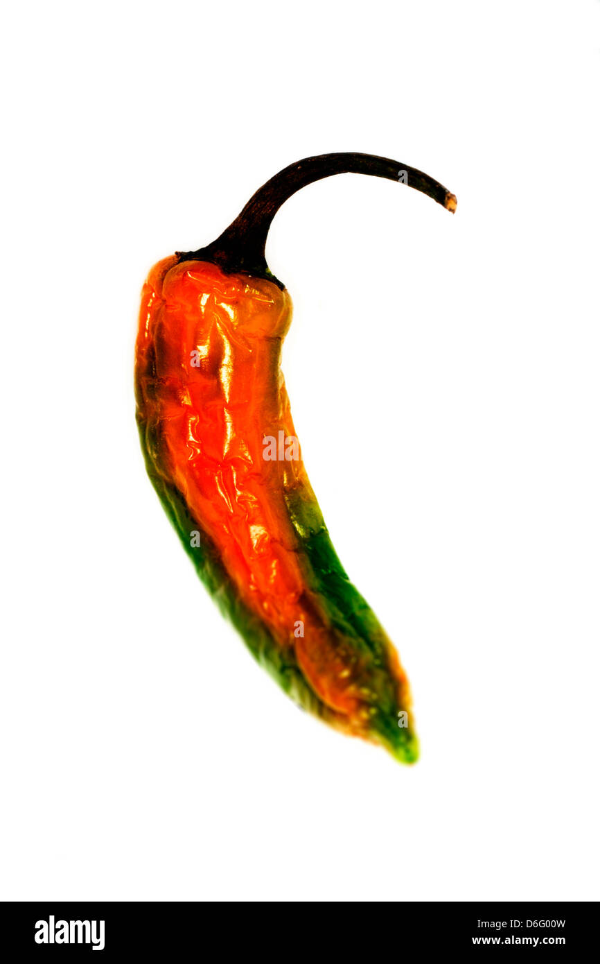 red Chilli Stock Photo