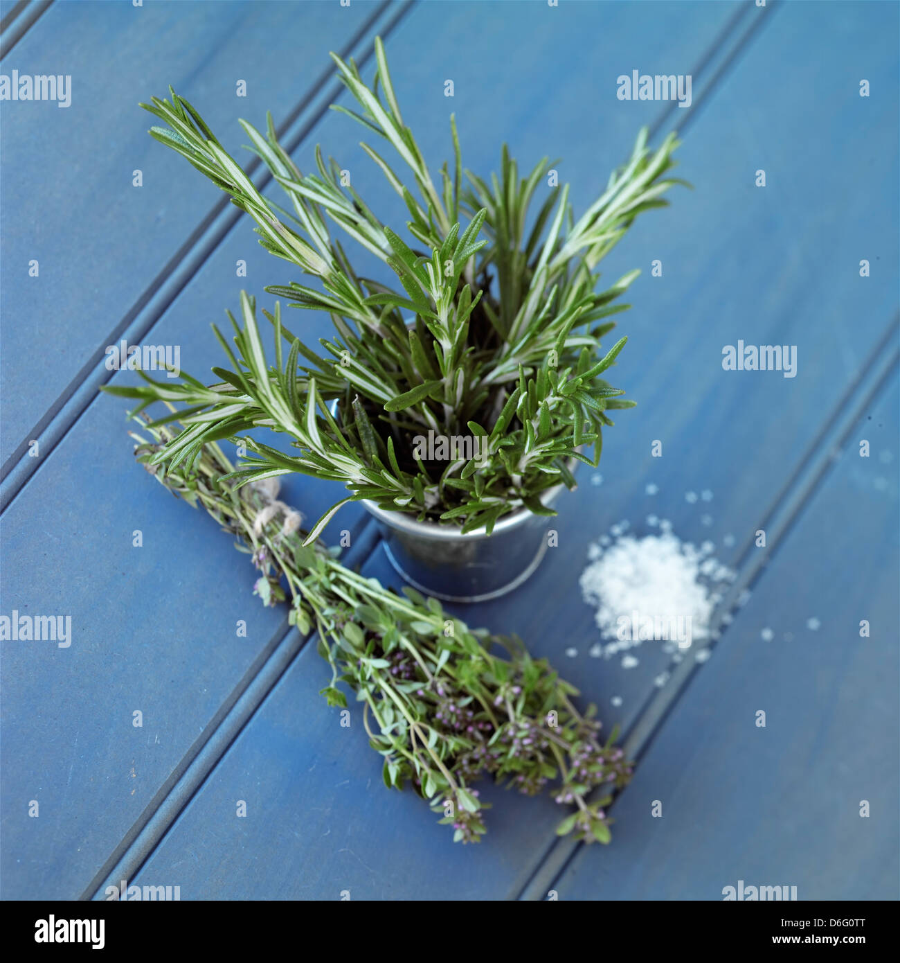Rosemary and Thyme Stock Photo Alamy