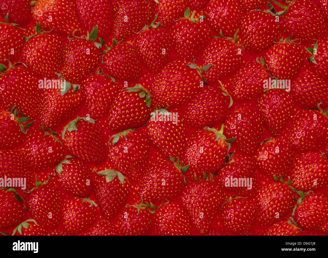 Strawberries full frame hi-res stock photography and images - Alamy