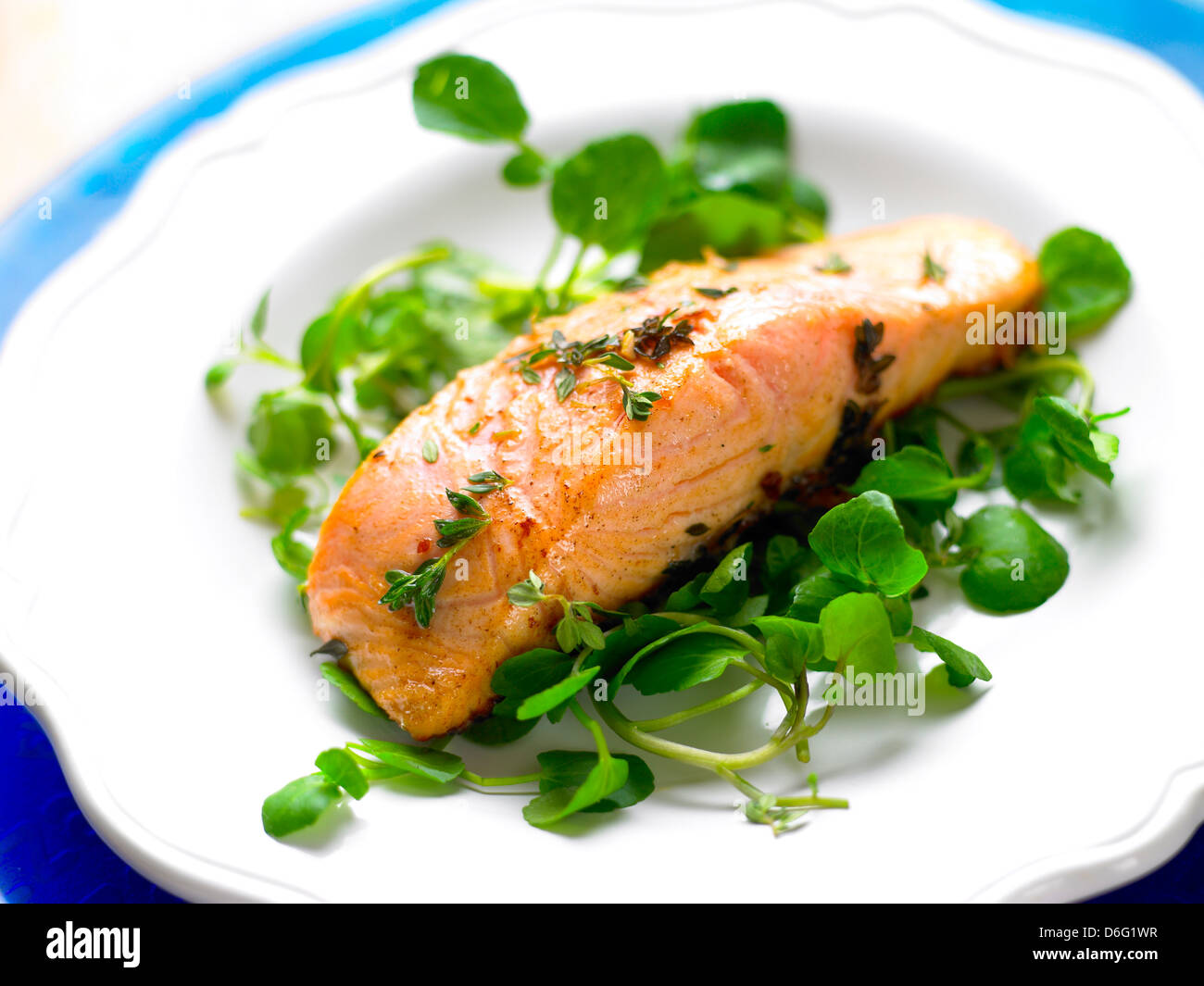 Salmon Fillet Pan Cooked with Watercress Stock Photo