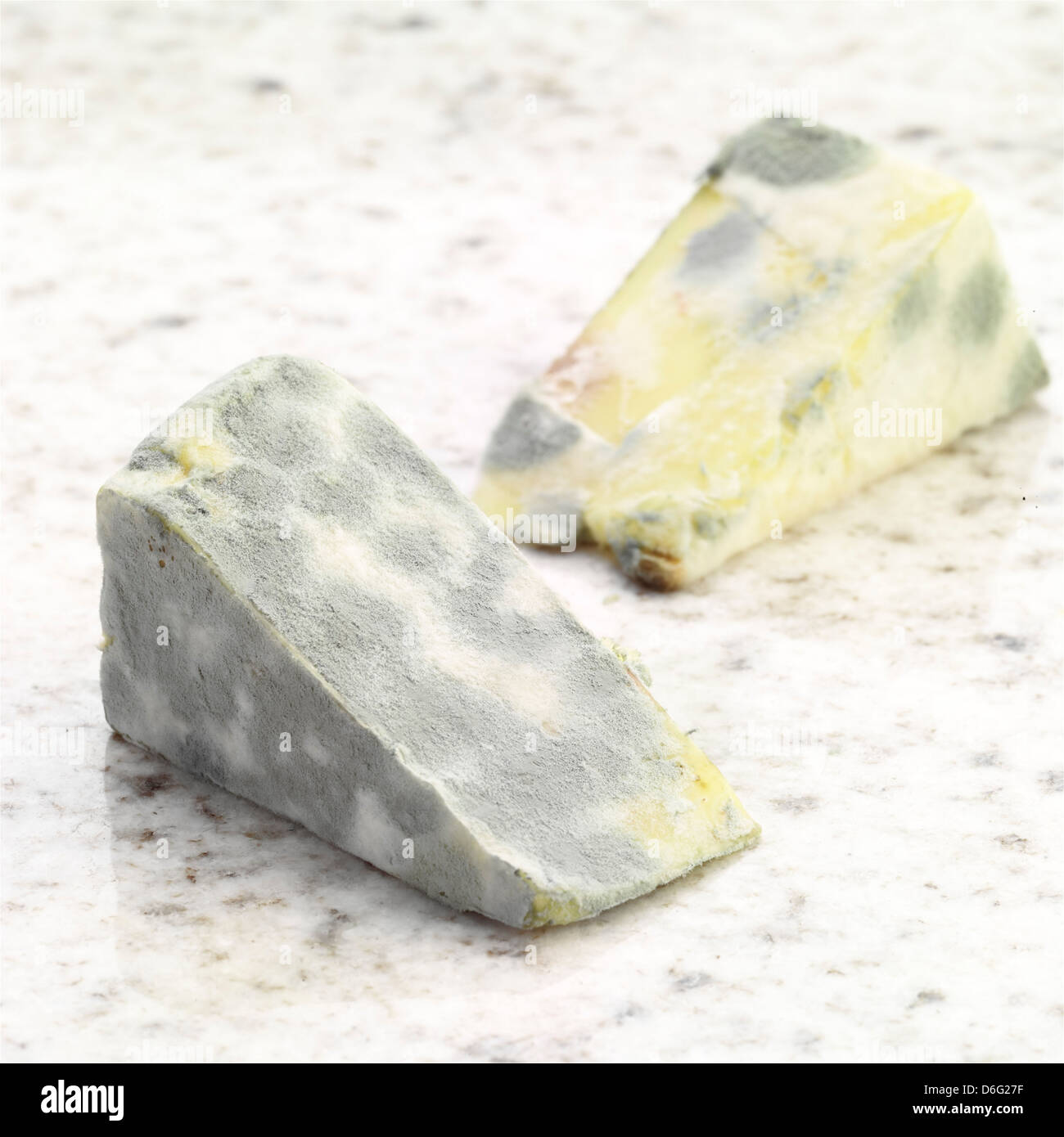 Mouldy Cheese Stock Photo Alamy