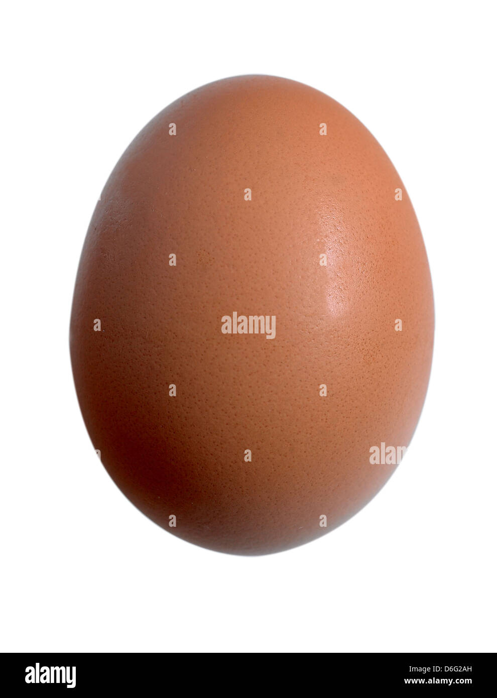 Organic Egg -  cutout Stock Photo