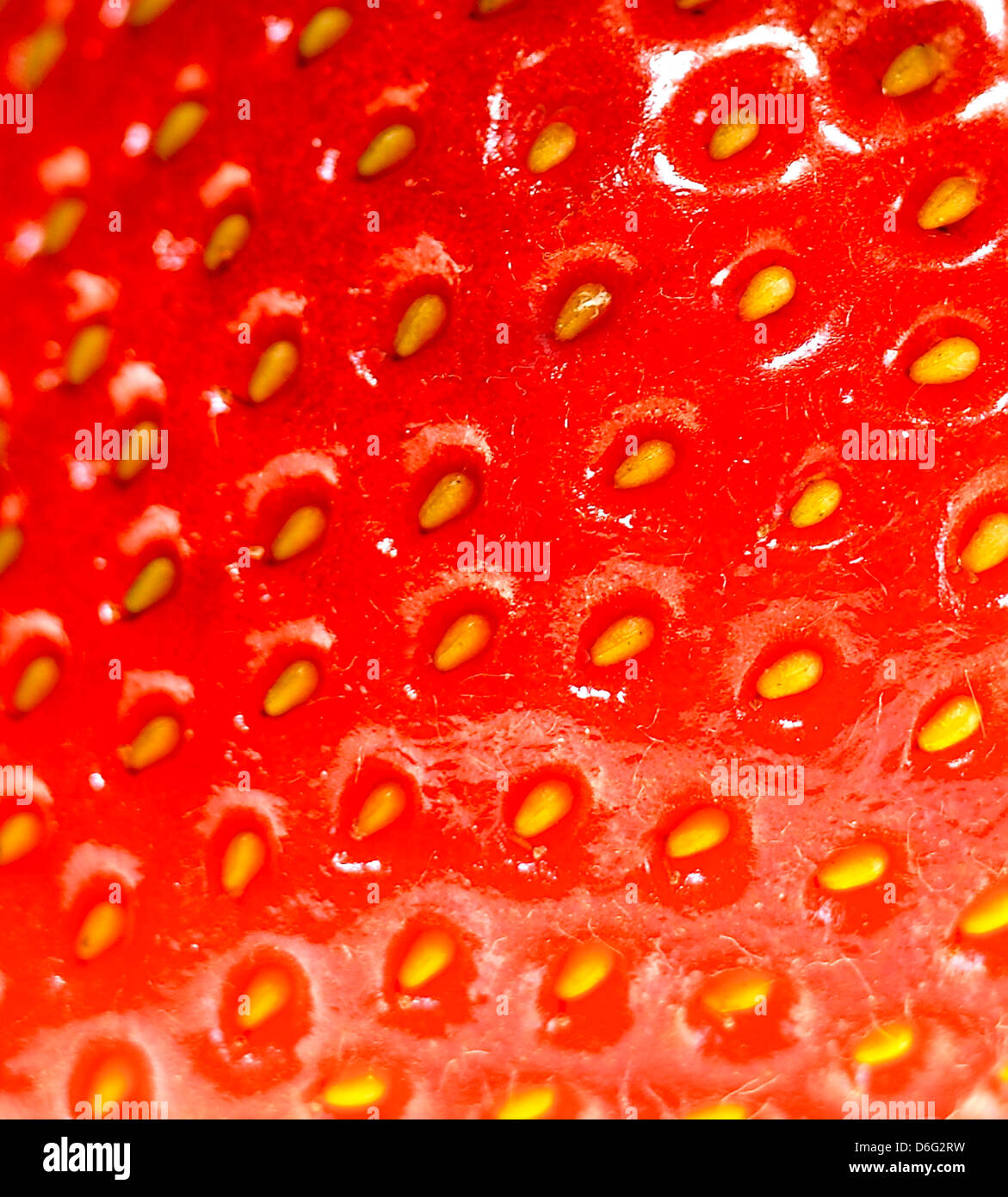 Strawberry seeds up close hires stock photography and images Alamy
