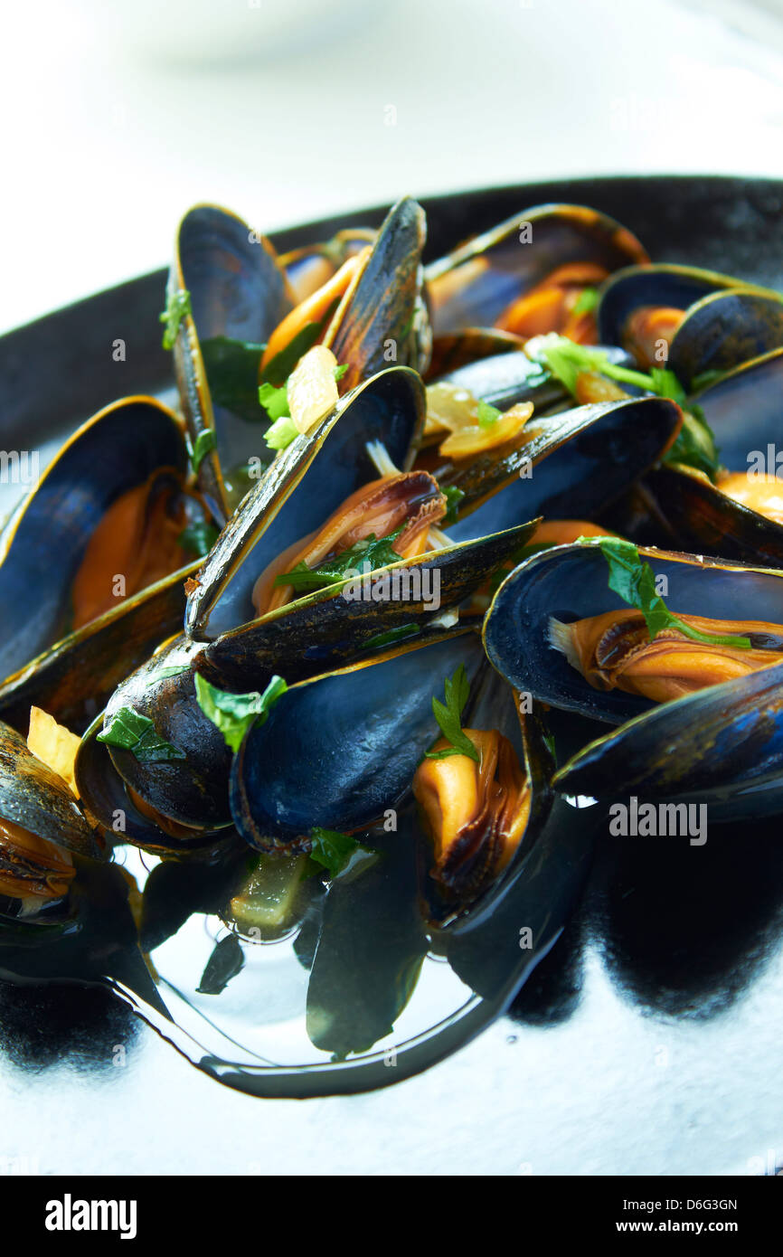 Steamed Mussels Provencal cooked scottish mussels with recipe Stock