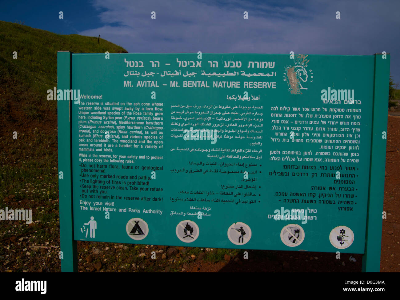 Mount Avital Mount Bental Nature Reserve High Resolution Stock