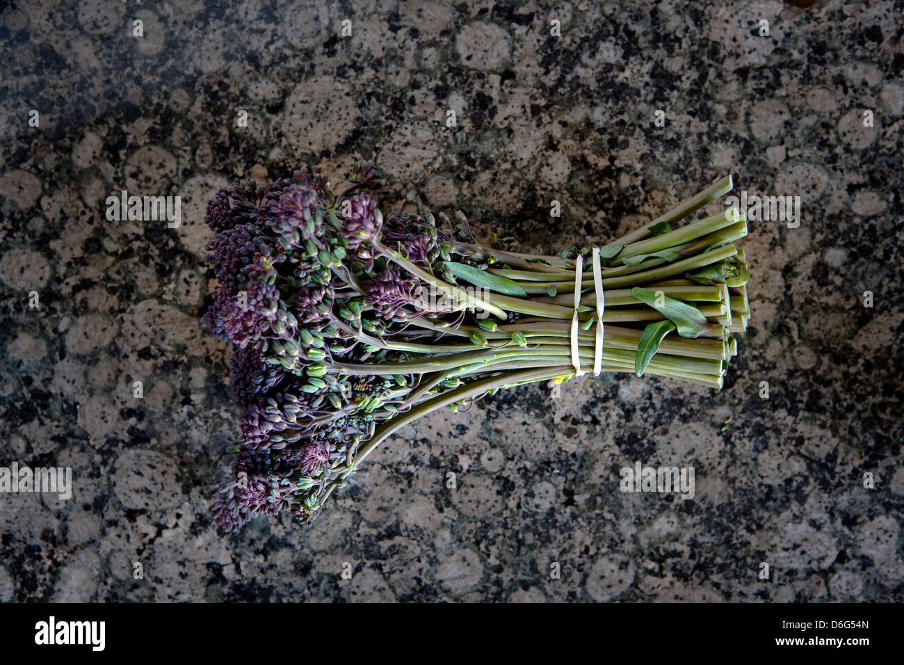 Fresh Purple Sprouting Broccoli Stock Photo Alamy