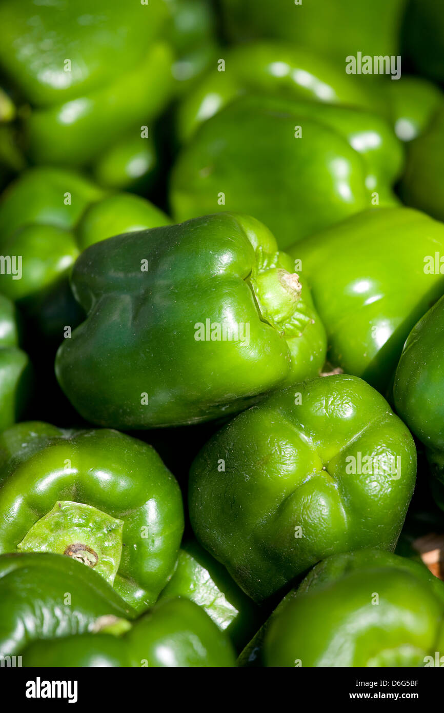 Fresh green peppers Stock Photo