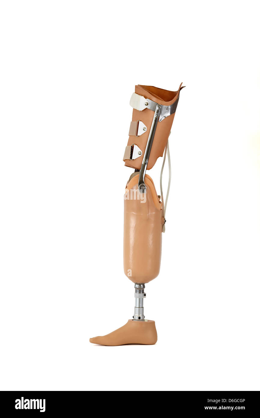 Above knee prosthesis. Traditional above knee prosthesis. Stock Photo