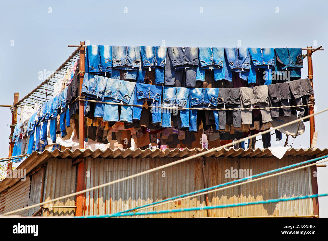 Denim Jeans washed and hanging out to dry in the mid day sun at a commercial washing factory. Location of shot Bombay India Stock Photo