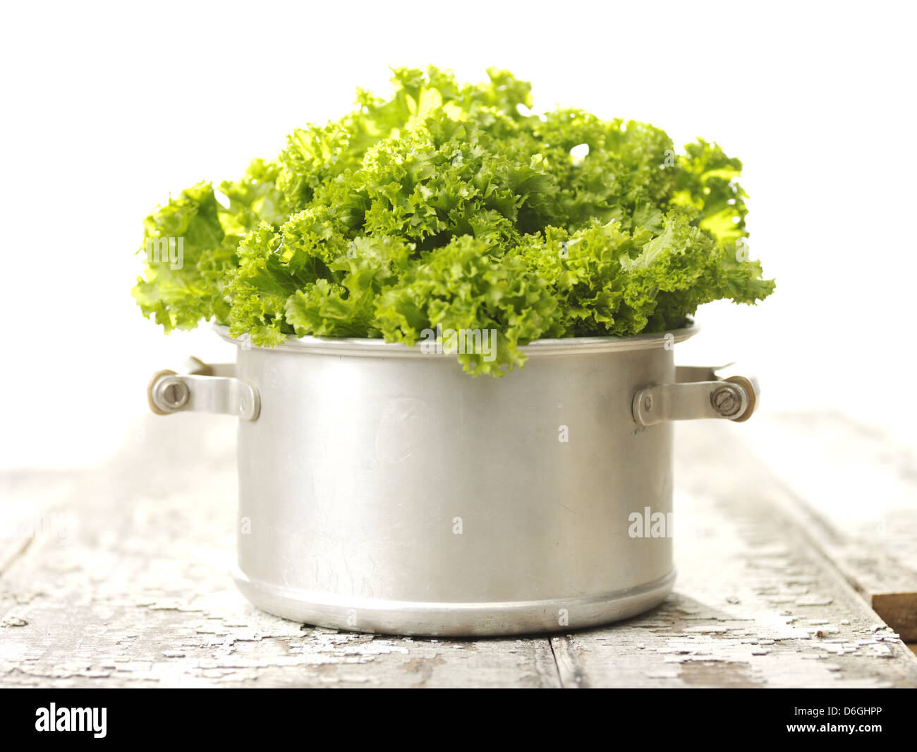 Lettuce in a pan Stock Photo Alamy
