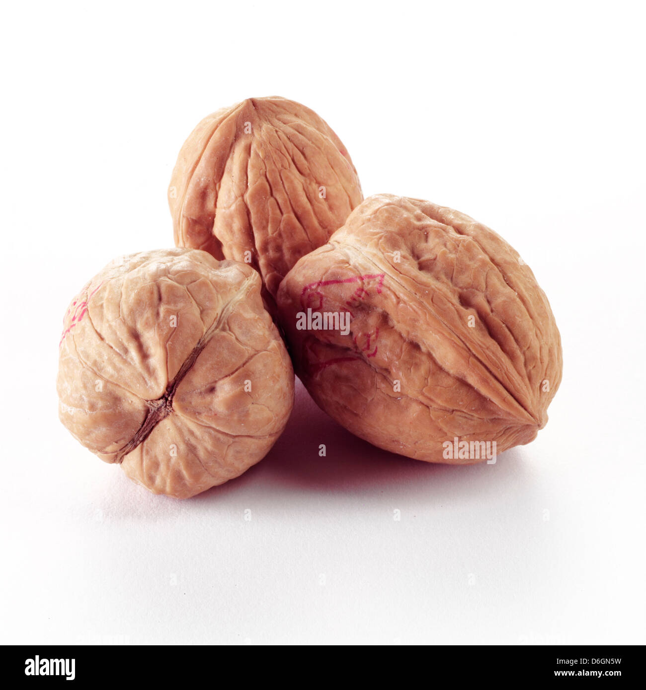 Three Walnuts in their shell Stock Photo Alamy
