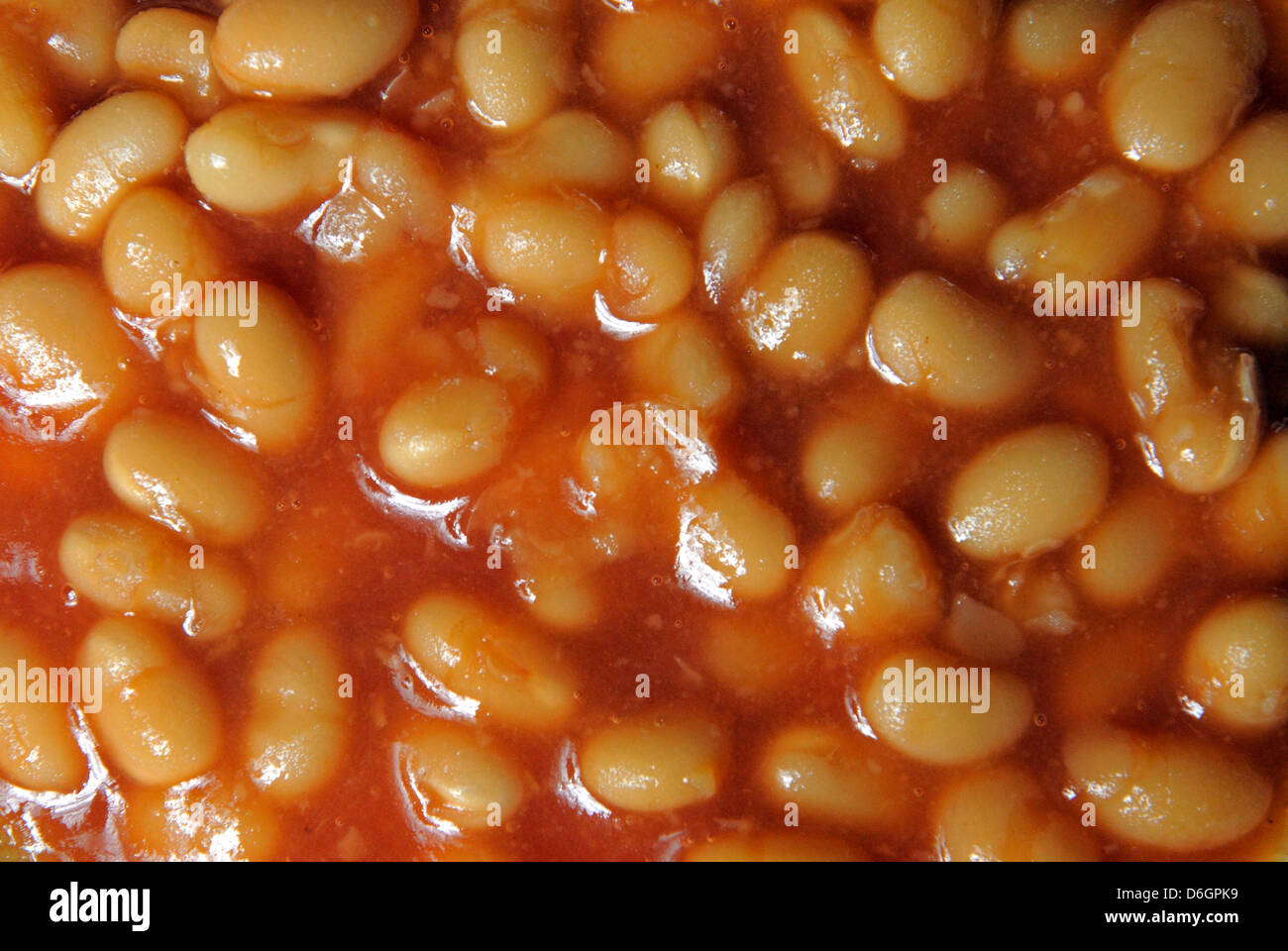 Baked beans in tomato sauce Stock Photo Alamy